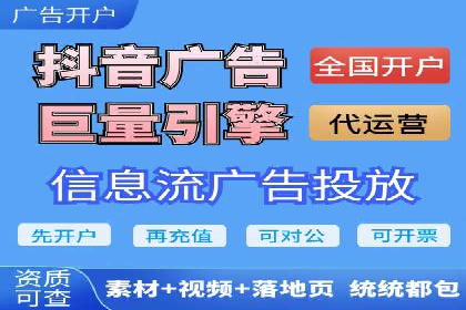 专业SEM服务公司案例分析报告